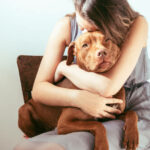 Nana's Dog Boarding - Emotional Stress
