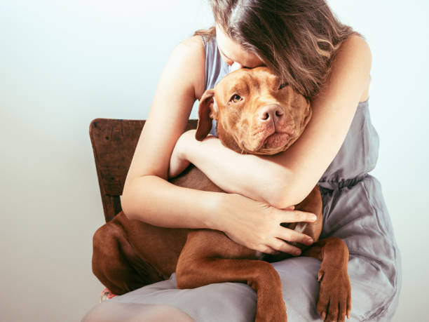 The Emotional Side of Dog Boarding The Emotional Side of Dog Boarding